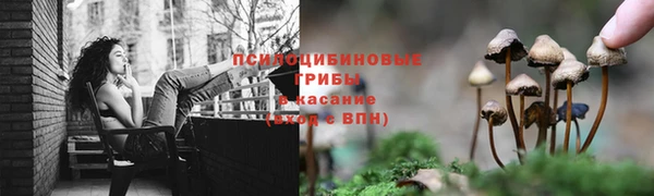 MESCALINE Гусиноозёрск