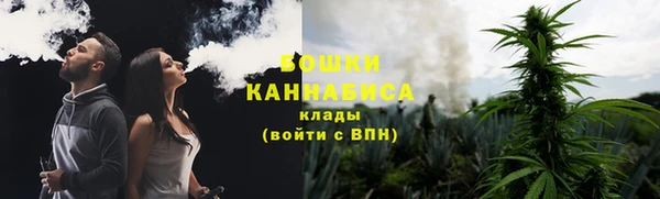 MESCALINE Гусь-Хрустальный